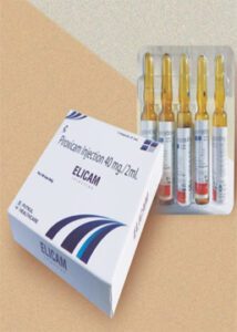 Elicam Injection - Putkul Healh Care