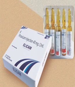 Elicam Injection - Putkul Healh Care